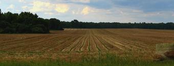 Field