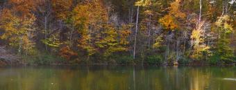 Lake and Treeline