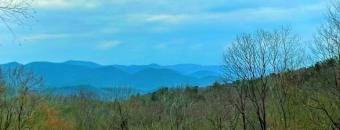 A blue horizon with mountains and trees in the foreground.