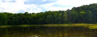 Elbert County WMA Pond