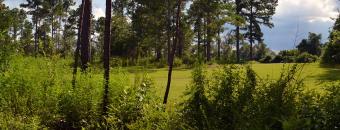 Hannahatchee Creek Photo