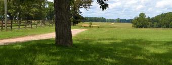 Indian Ford Farms Dirt Road