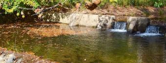 Stream by Campsite