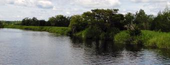 Water with Vegetation