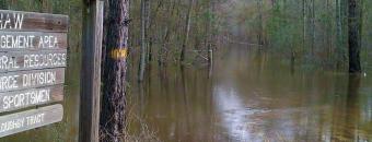 Mayhaw Sign by Water