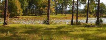 Camping Area and Pond