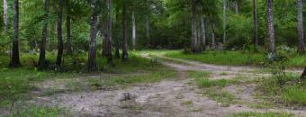 Oliver Bridge Dirt Road
