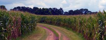 Rogers State Prison Road