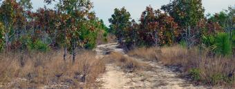 Dirt Road