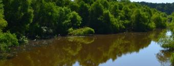 Soap Creek from Bridge