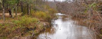 Creek at Spirit Creek