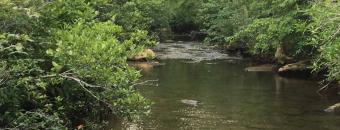 Creek