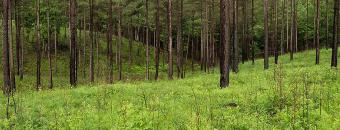 Habitat
