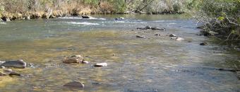 River at the Tract