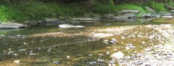 Sheffield Creek